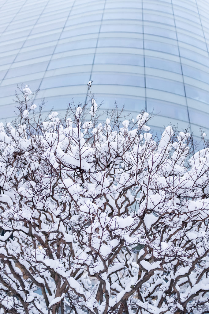 La Defense sous la neige 